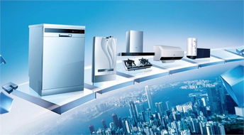 家電產(chǎn)業(yè)積極求存 跨界服務(wù)業(yè)是營收利器還是燙手山芋？